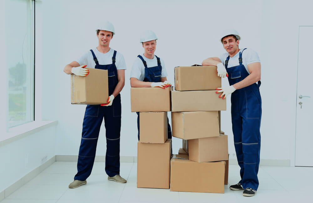 Largo Difference Types Of Movers